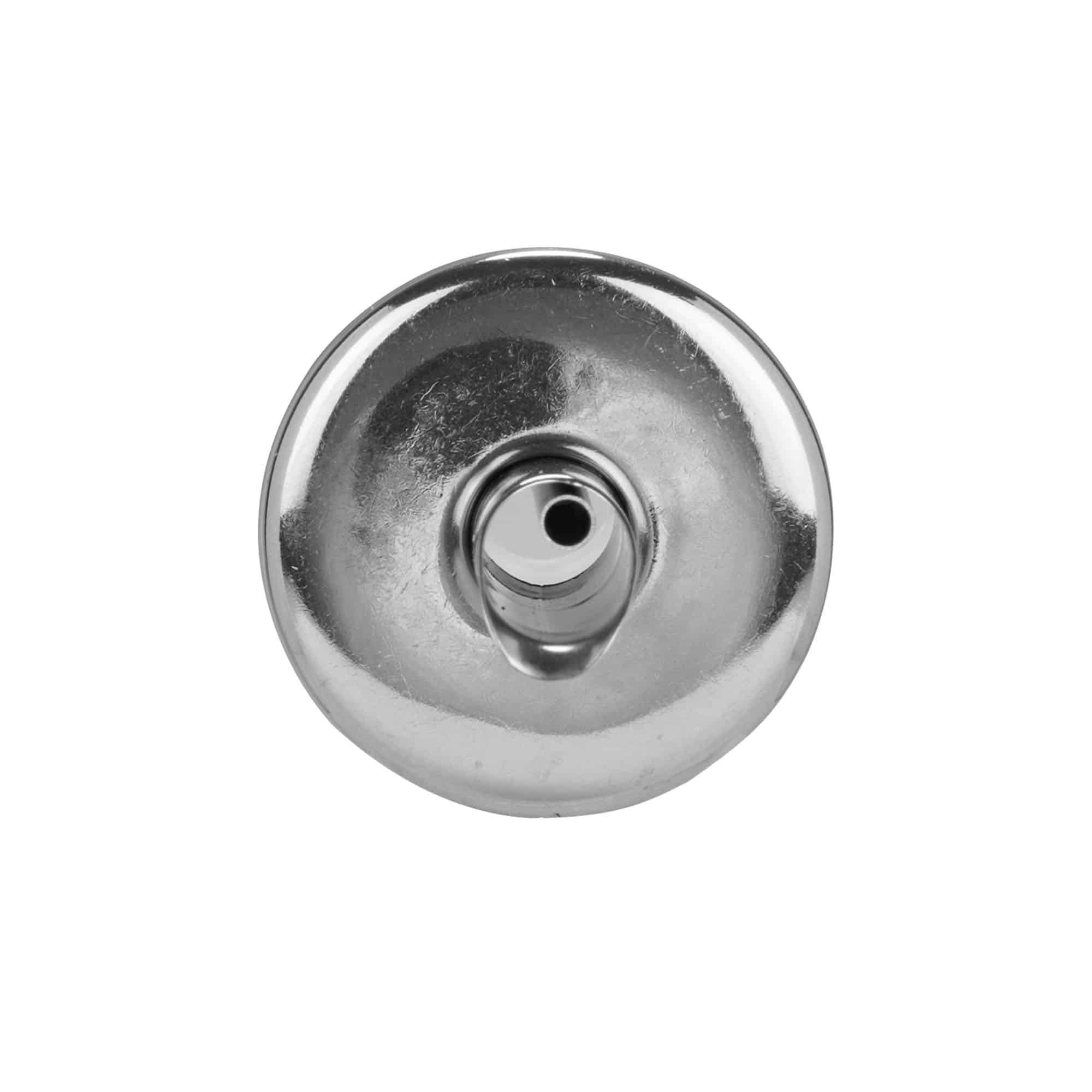 Uitgieter Inox olie, roestvrij staal, zilver