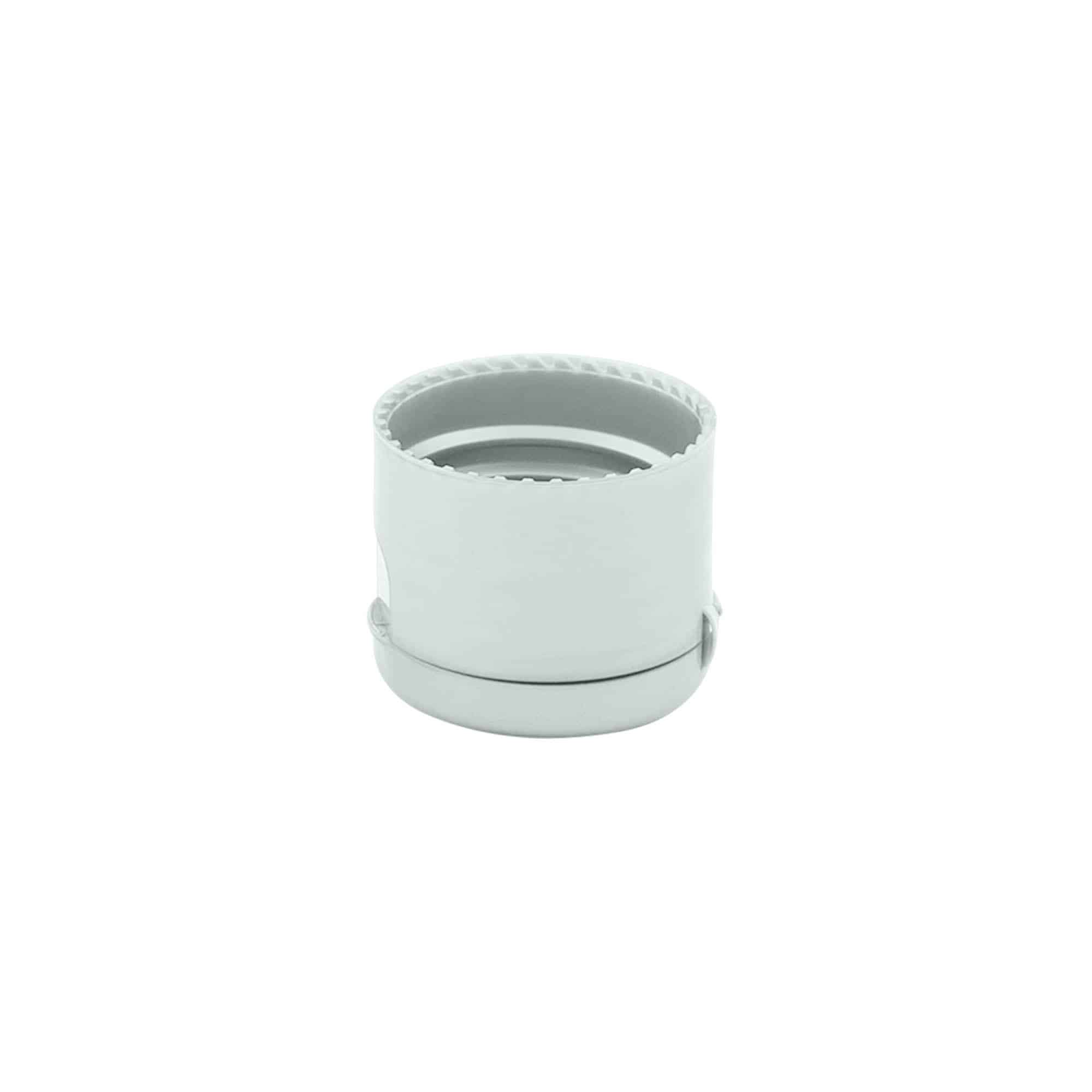 Schroefsluiting klapscharnier, PP-kunststof, zilver, voor monding: 24/410